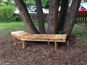 Curved, slatted-wood backless bench in front of five tree trunks